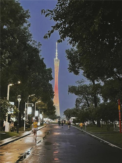 深圳茶业繁荣,高端茗茶资源尽在眼前 深圳茶业繁荣,高端茗茶资源尽在眼前